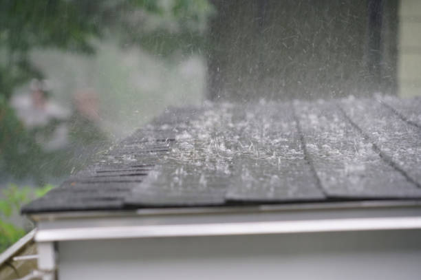 Best Rubber Roofing (EPDM, TPO)  in Deerfield, IL